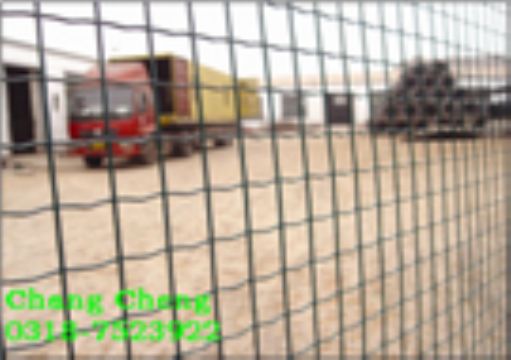 Wire Mesh Fences